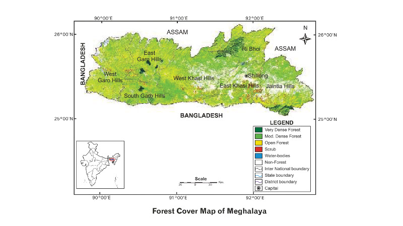 Forest Cover Map