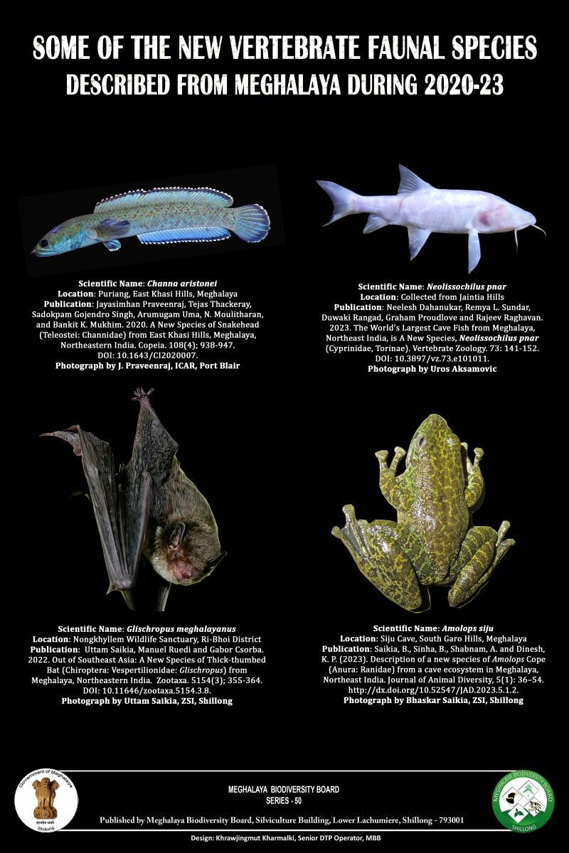 Some of the new vetebrate faunal species described from Meghalaya during 2020-2023