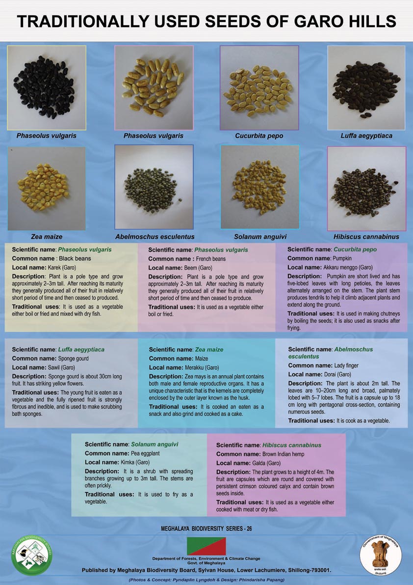 Traditional used Seeds